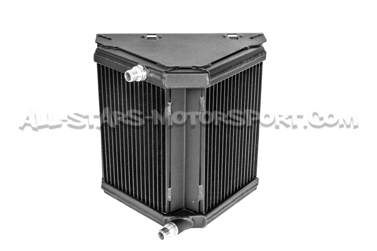 Mercedes A45 AMG Forge Side Mount Chargecooler