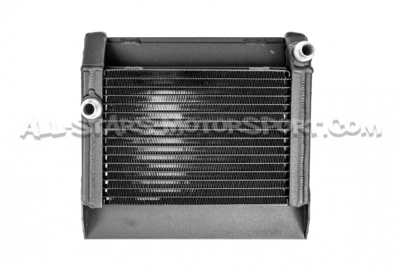 Mercedes A45 AMG Forge Side Mount Chargecooler