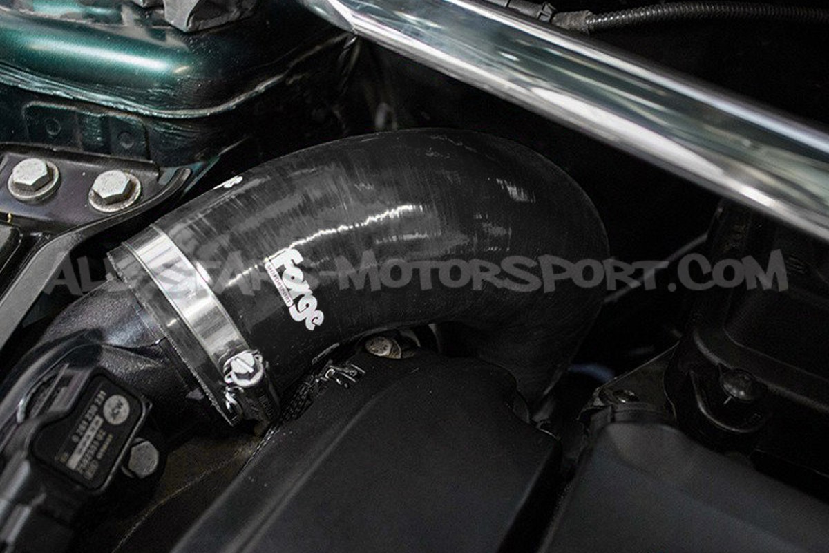 Durite de suppression de resonateur Forge pour Mini Cooper S R56