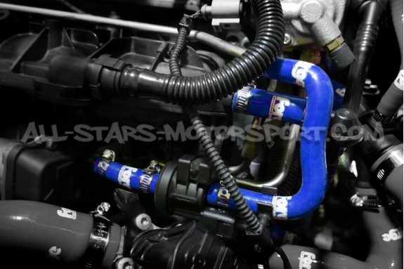 Durites de canister silicone Forge pour 2.0 TFSI EA113