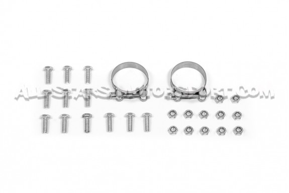 Decata Scorpion pour Golf 5 R32