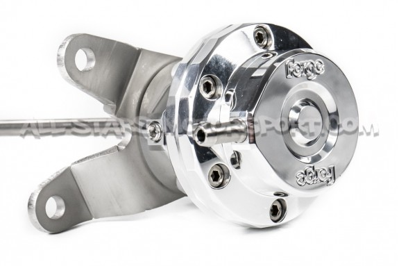Wastegate Forge pour Polo 6R GTI / Ibiza Cupra 6J / Fabia 5J VRS