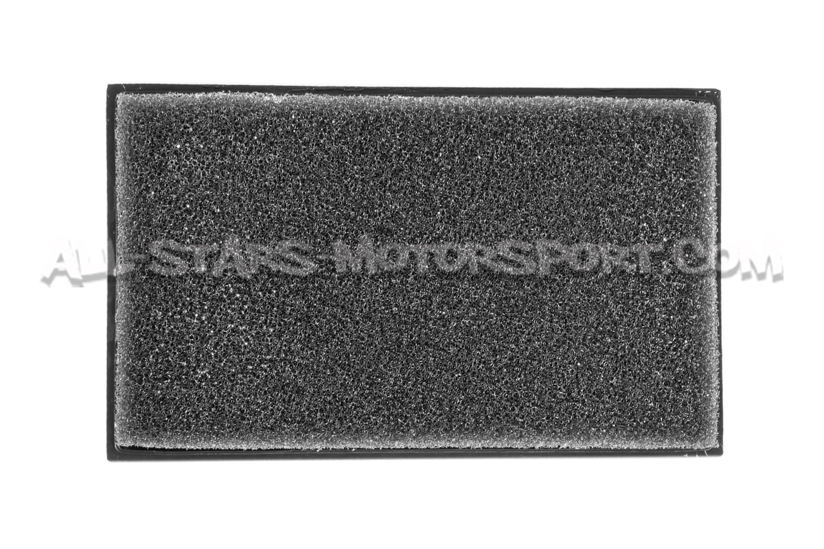 Audi S3 8V /  Golf 7 R and Golf 7 GTI Racingline Panel Air filter