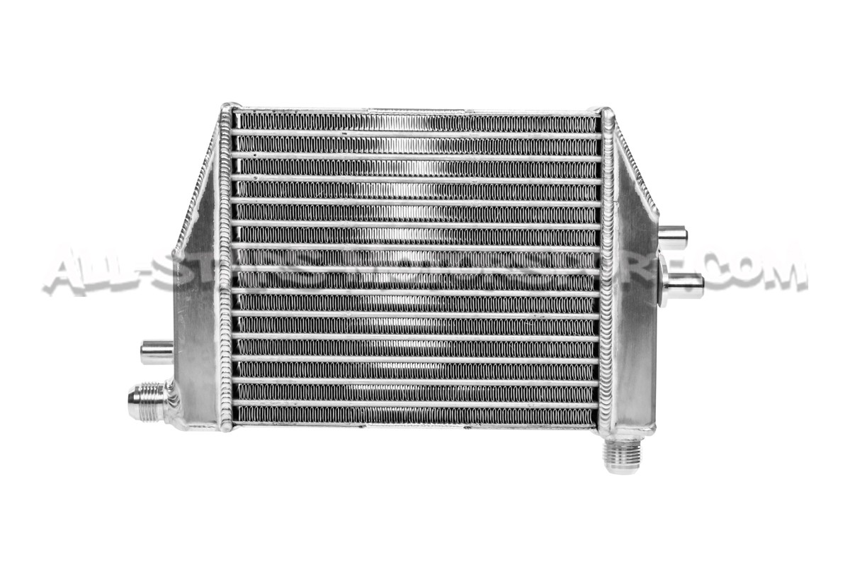 Fiat 500 / 595 Abarth Forge Motorsport Oil Cooler Kit