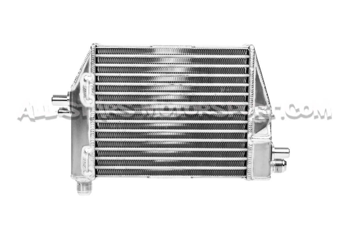 Fiat 500 / 595 Abarth Forge Motorsport Oil Cooler Kit