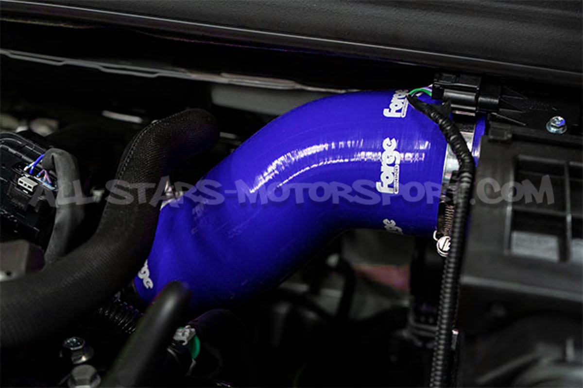 Megane 4 RS Forge Silicone Inlet Hose