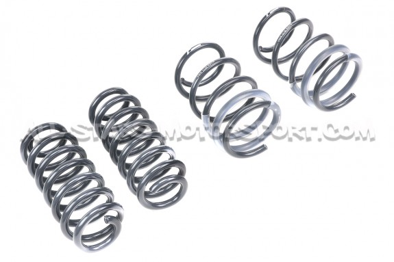 Muelles de suspension Racingline para Audi RS3 8V Saloon Magnetic Ride