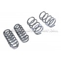 Muelles de suspension Racingline para Audi RS3 8V Saloon Magnetic Ride