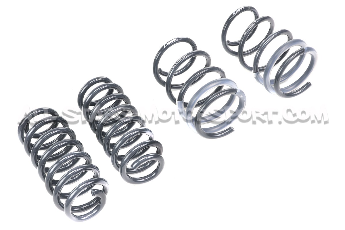 Muelles de suspension Racingline para Audi RS3 8V Saloon Magnetic Ride