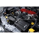 Mangueras de radiador de silicona  Mishimoto para Subaru BRZ / Toyota GT86