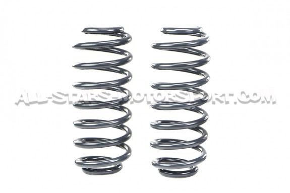 Kit muelles cortos Racingline para Golf 5 GTI / Golf 6 GTI / Leon 2 Cupra