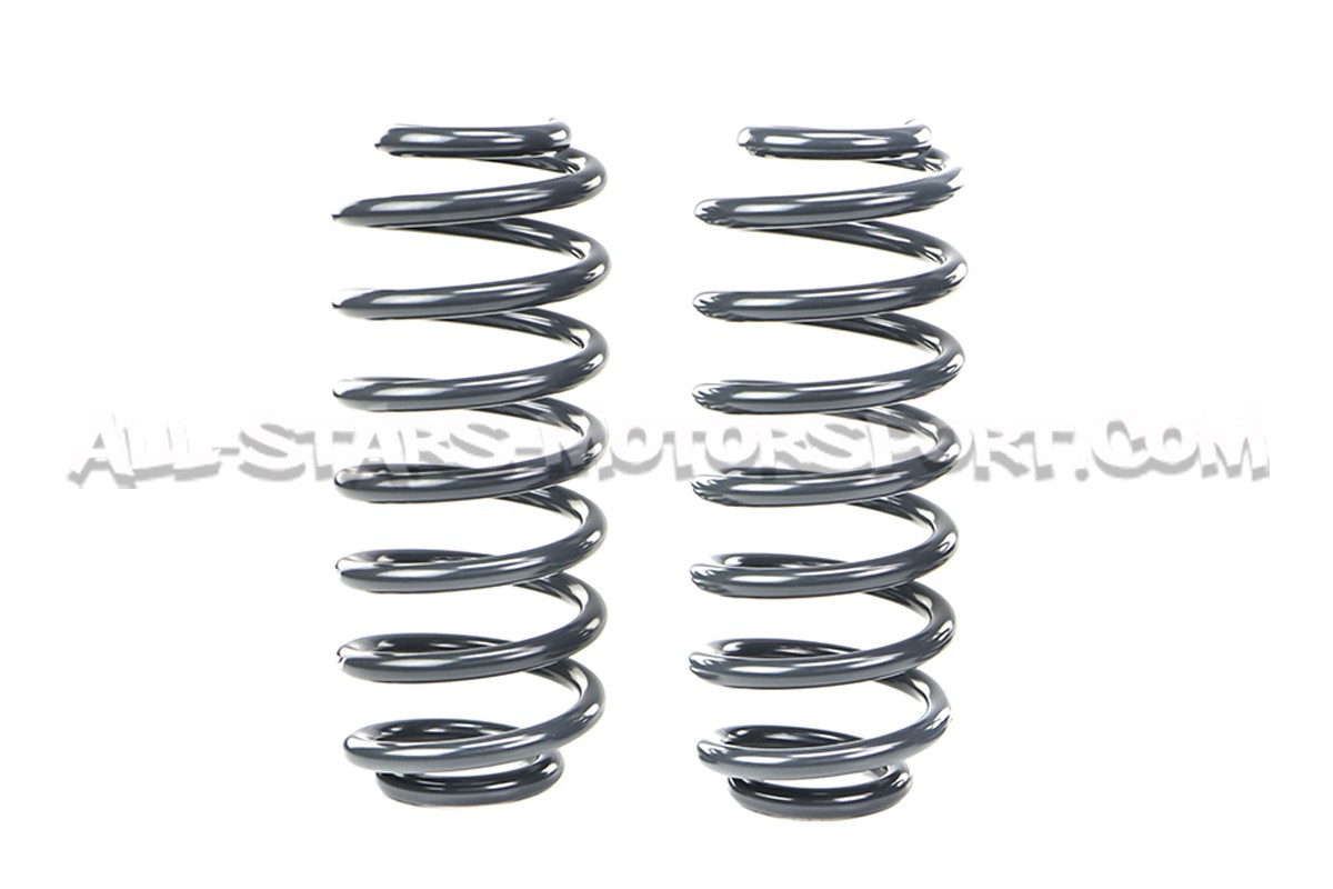 Golf 5 GTI / Golf 6 GTI / Leon 2 Cupra Racingline Sport Springs