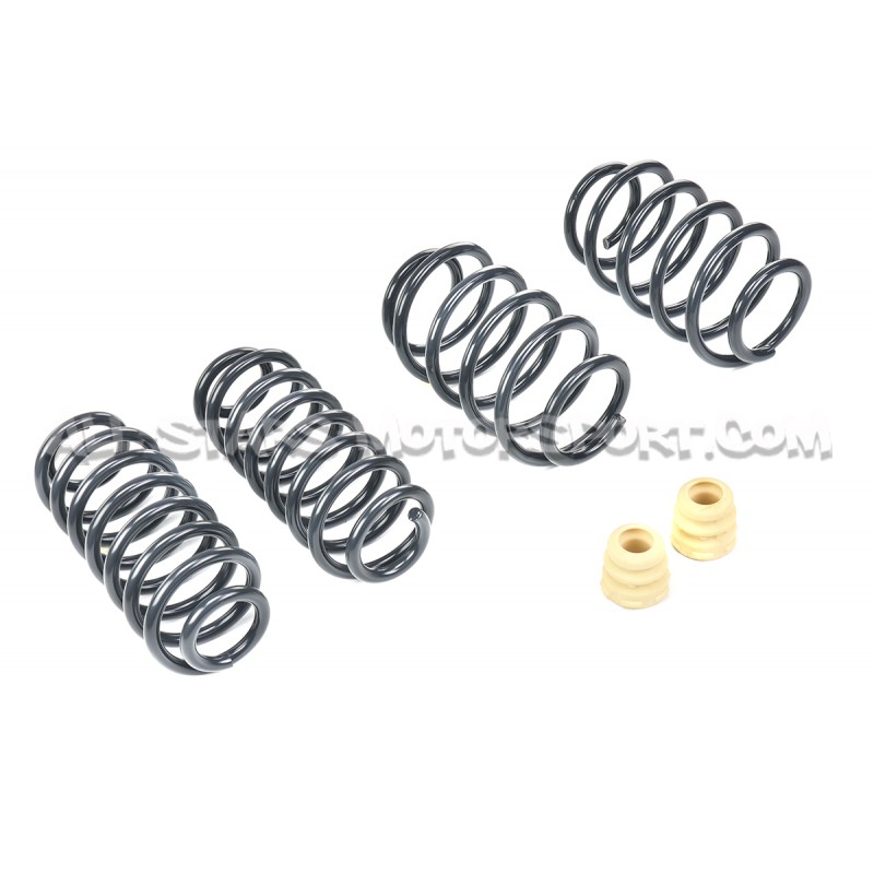 Golf 5 GTI / Golf 6 GTI / Leon 2 Cupra Racingline Sport Springs