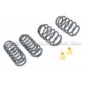 Golf 5 GTI / Golf 6 GTI / Leon 2 Cupra Racingline Sport Springs