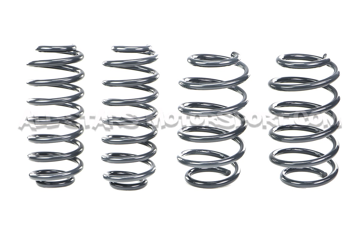 Kit ressorts courts Racingline pour Golf 5 GTI / Golf 6 GTI / Leon 2 Cupra