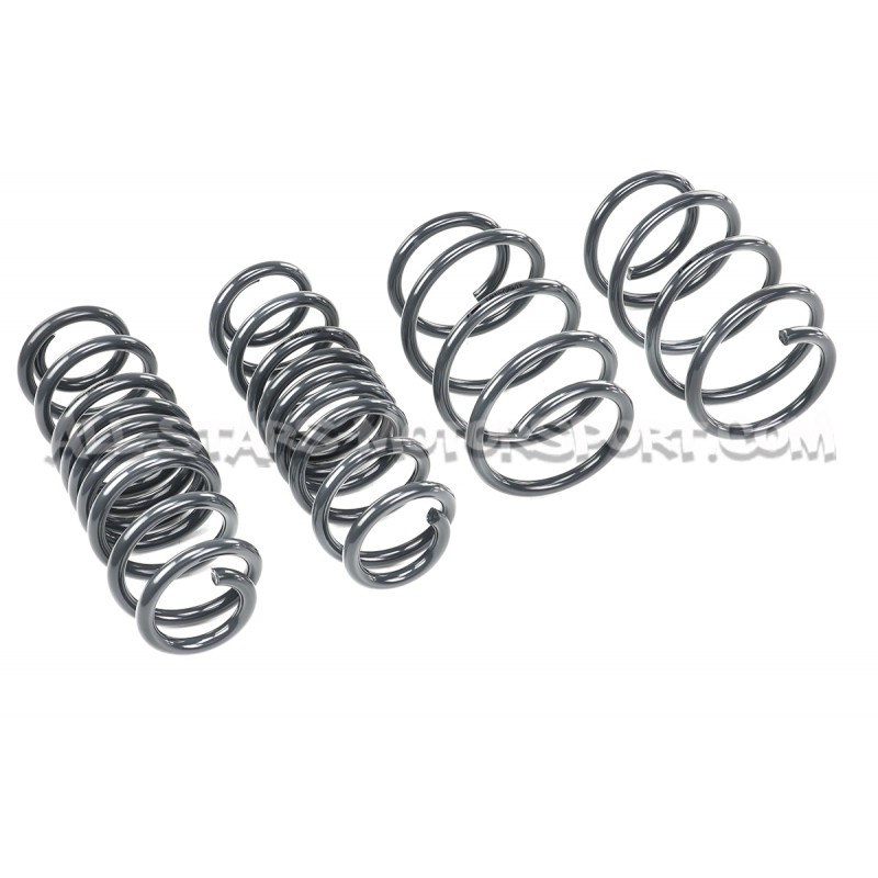Muelles suspension Racingline para Golf 7 R SW / Leon 3 Cupra ST / Octavia VRS SW