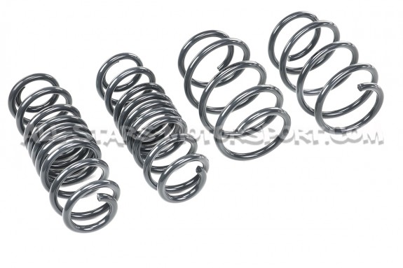 Muelles suspension Racingline para Golf 7 R SW / Leon 3 Cupra ST / Octavia VRS SW