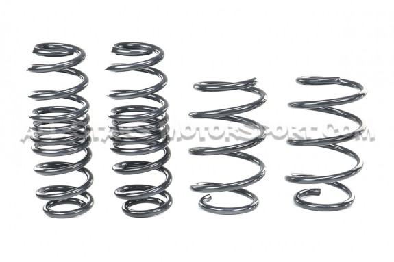 Kit ressorts courts Racingline pour Golf 7 R SW / Leon 3 Cupra ST / Octavia VRS SW