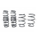 Golf 7 R SW / Leon 3 Cupra ST / Octavia VRS SW Racingline Sport Springs