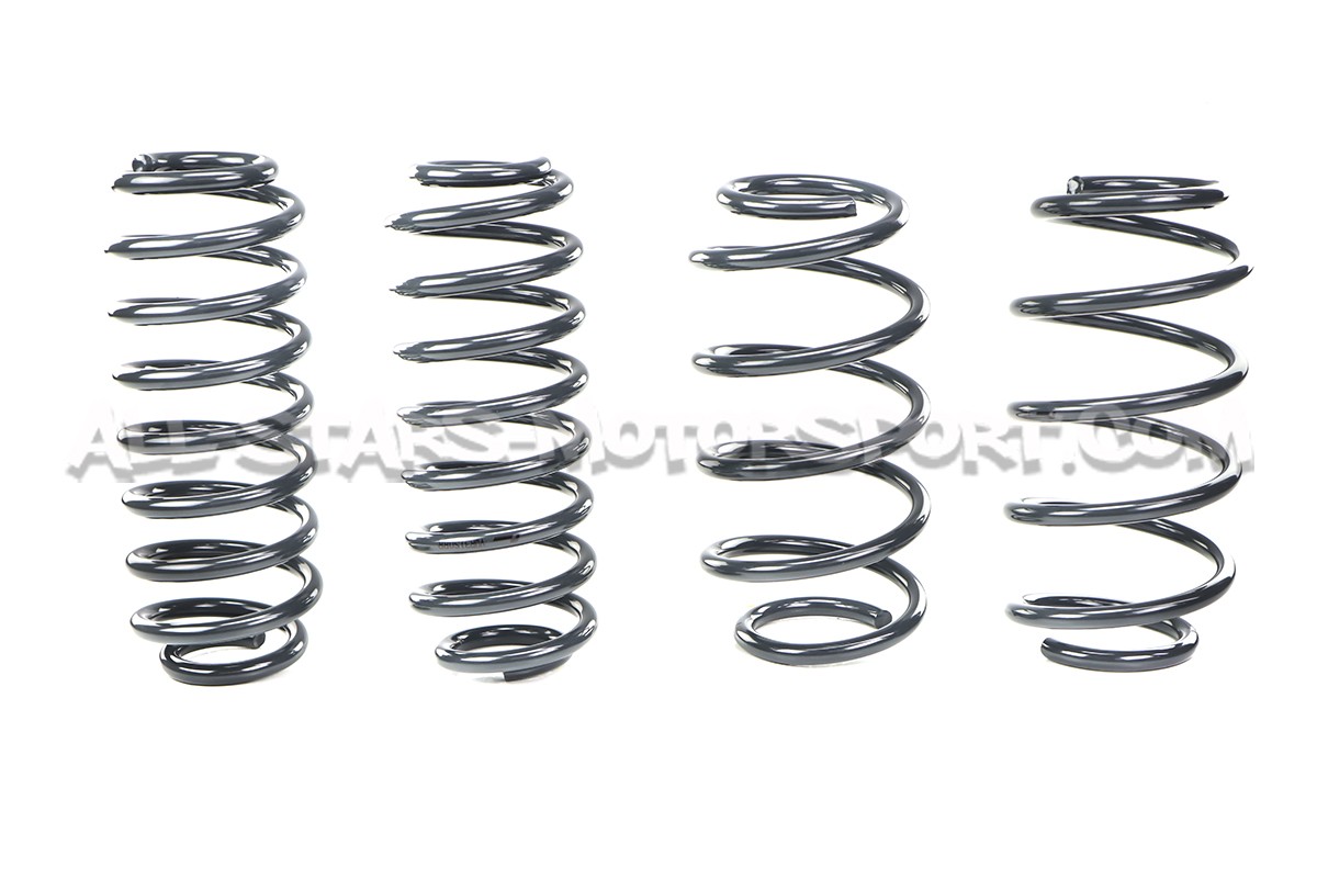 Kit muelles cortos Racingline para Scirocco 2.0 TFSI / R