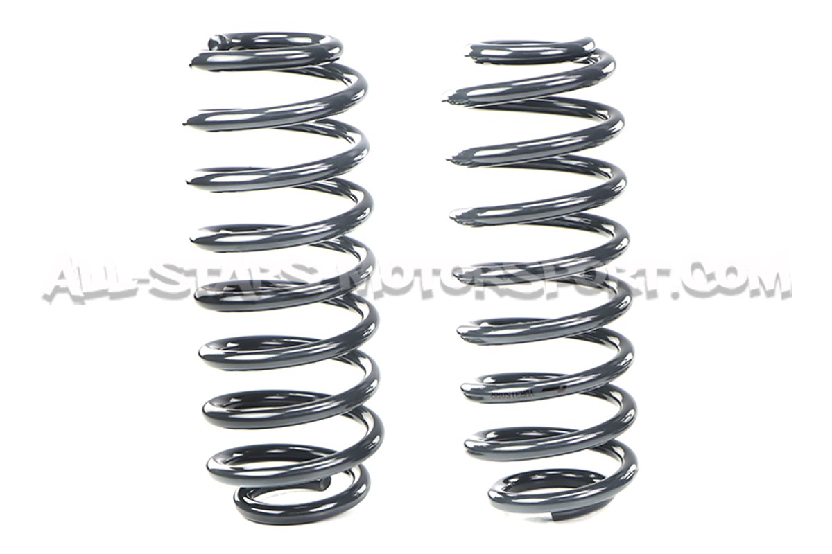 Kit ressorts courts Racingline pour Scirocco 2.0 TFSI / R