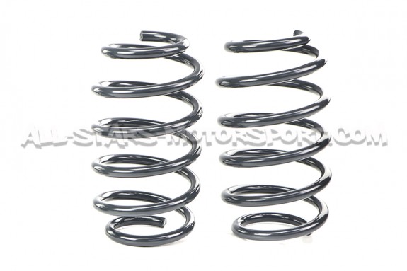 Kit de suspension Racingline para Audi S3 8P / Golf 5 R32 / Golf 6 R