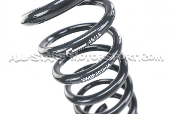 Golf 7 GTI / Leon 3 Cupra / Octavia 5E Racingline Sport Springs