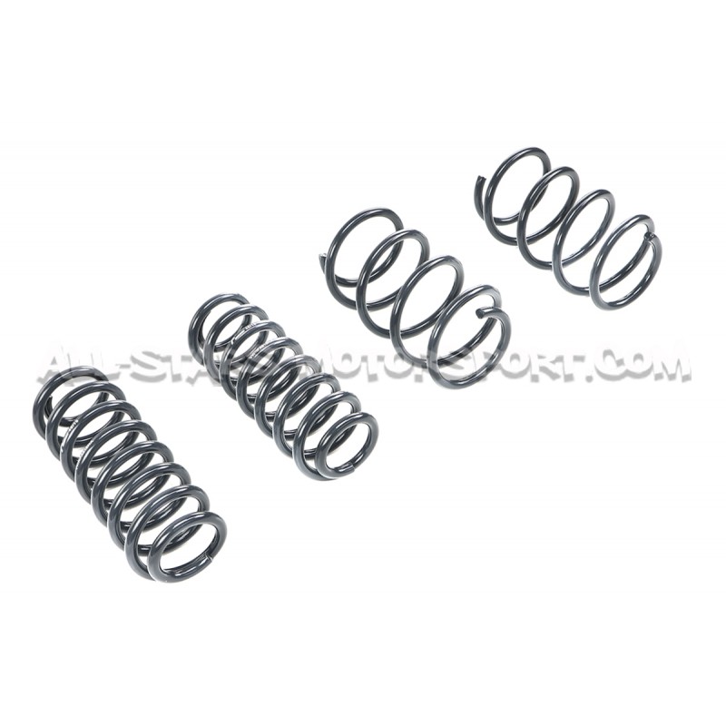 Muelles suspension Racingline Golf 7 GTI / Leon 3 Cupra / Golf 7 GTI / Leon 3 Cupra / Octavia 5E