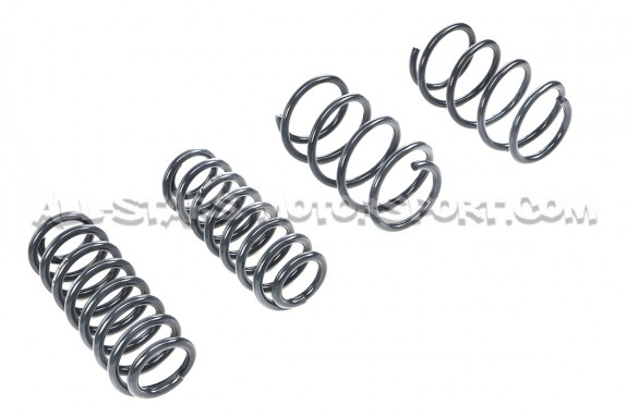 Golf 7 GTI / Leon 3 Cupra / Octavia 5E Racingline Sport Springs