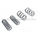 Muelles suspension Racingline Golf 7 GTI / Leon 3 Cupra / Golf 7 GTI / Leon 3 Cupra / Octavia 5E