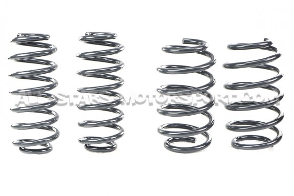 Golf 5 R32 / Golf 6 R Racingline Sport Springs