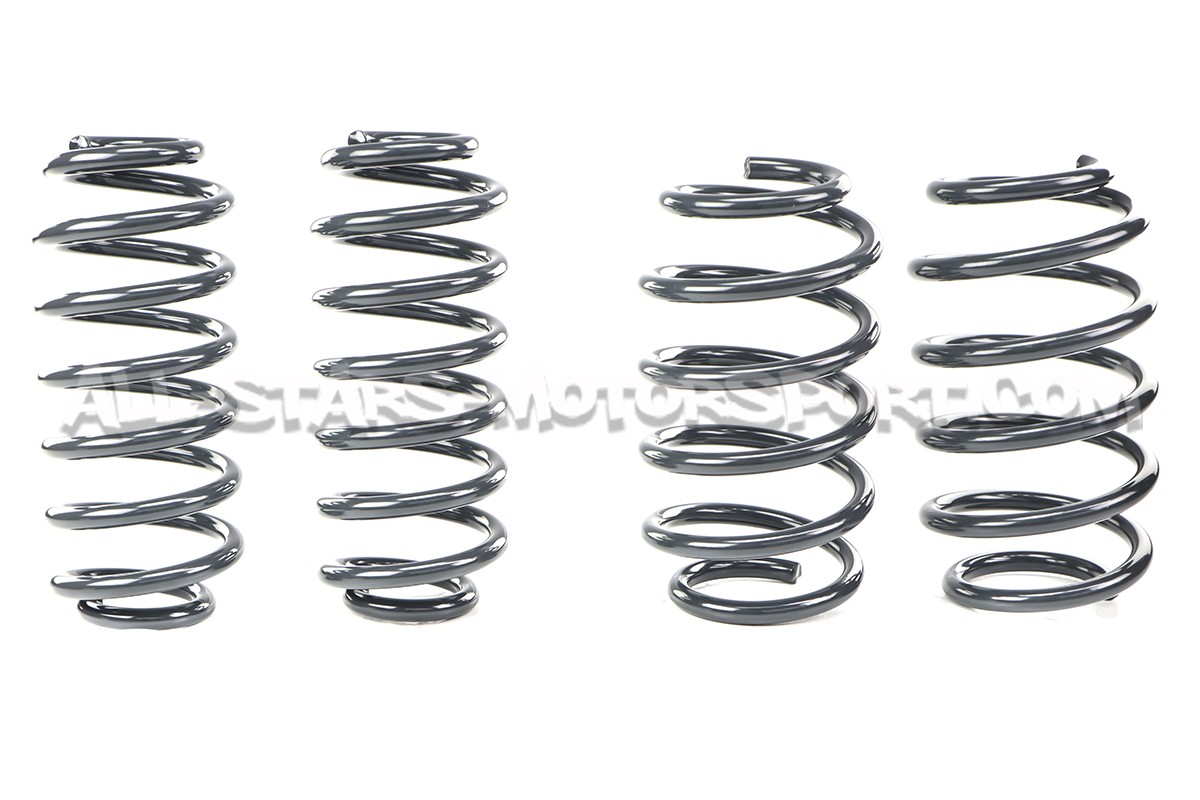 Golf 5 R32 / Golf 6 R Racingline Sport Springs