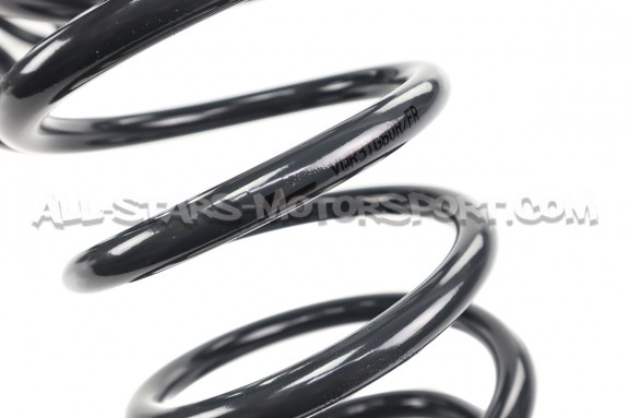Golf 5 R32 / Golf 6 R Racingline Sport Springs