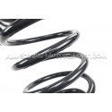 Golf 5 R32 / Golf 6 R Racingline Sport Springs