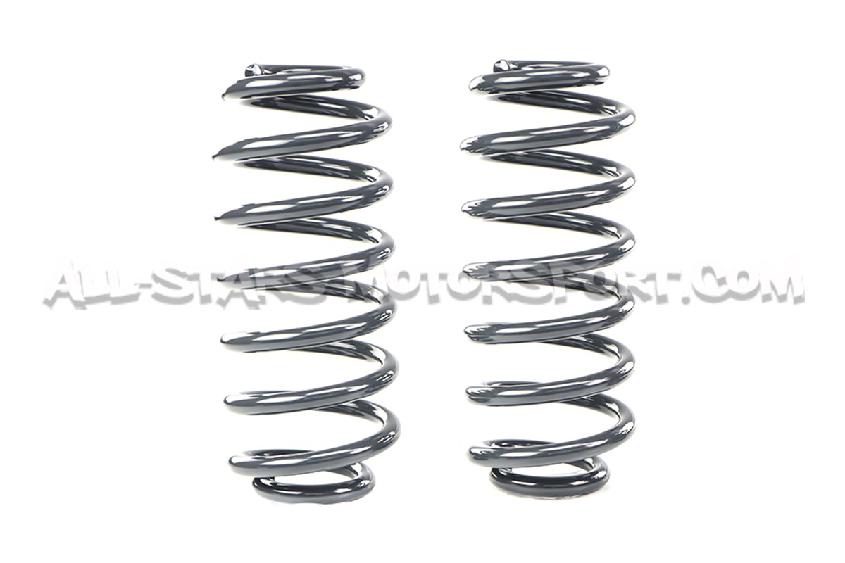 Golf 5 R32 / Golf 6 R Racingline Sport Springs