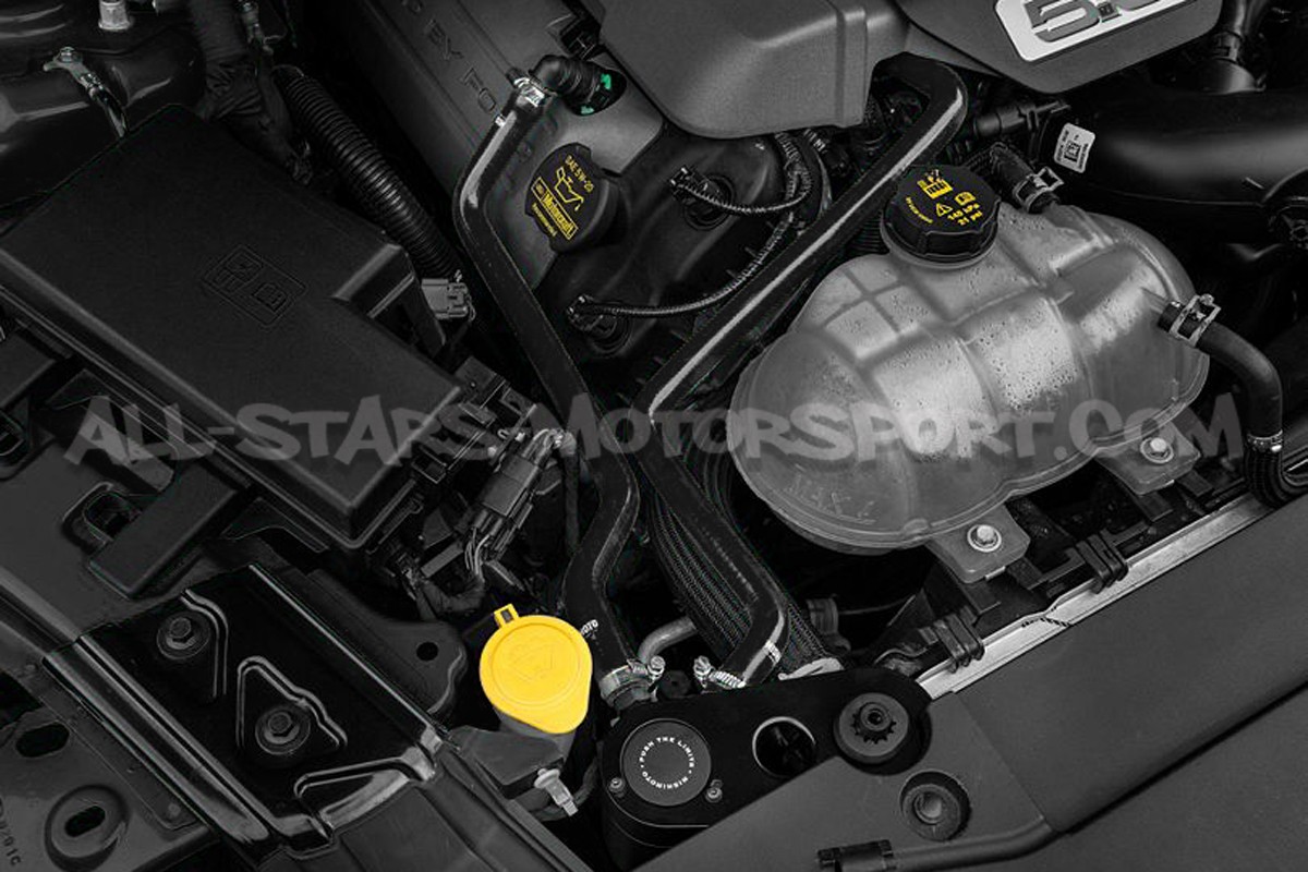 Baffled Oil Catch Can Mishimoto for Mustang S550 V8 5.0 GT