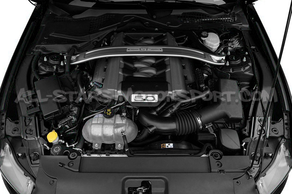 Baffled Oil Catch Can Mishimoto for Mustang S550 V8 5.0 GT