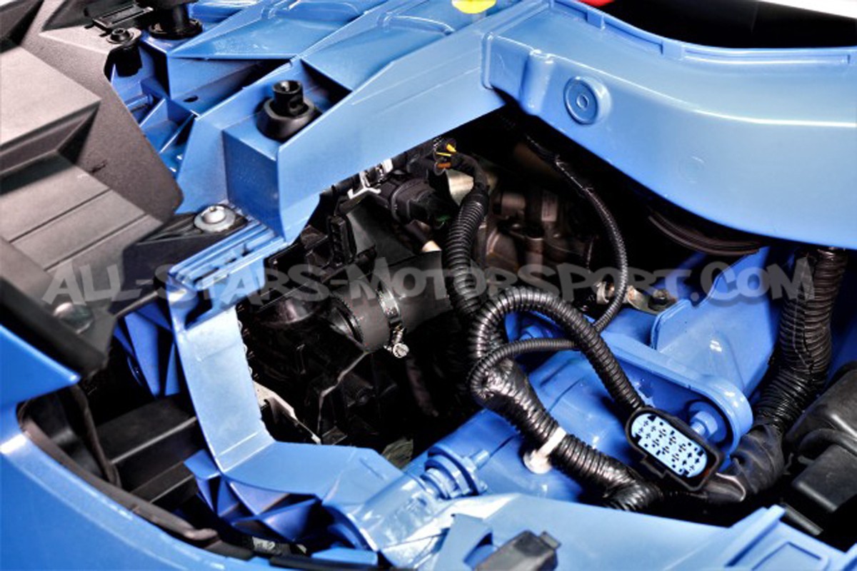 Durites de radiateur Mishimoto Ford Focus 3 RS