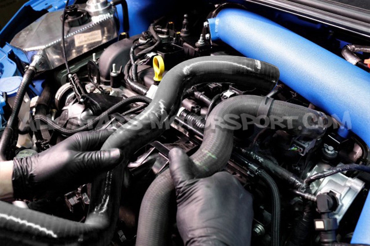 Manguitos de radiador Mishimoto Ford Focus 3 RS