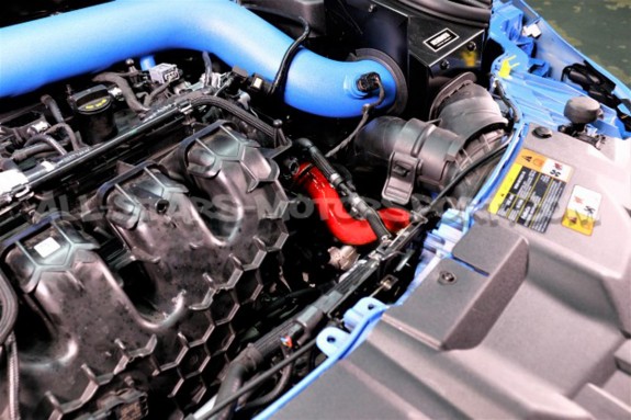 Ford Focus 3 RS Mishimoto Radiator Hose Kit