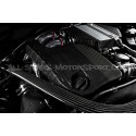 Couvre moteur carbone Eventuri pour BMW M3 F80 / M4 F8x / M2C