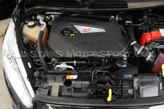 Oil Catch Can Mishimoto pour Ford Fiesta ST 180