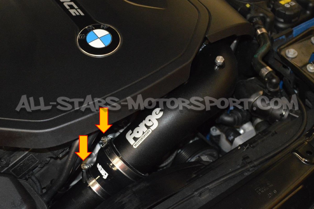 Kit tubos de intercambiador Forge para BMW M2 Comp / M3 F80 / M4 F82