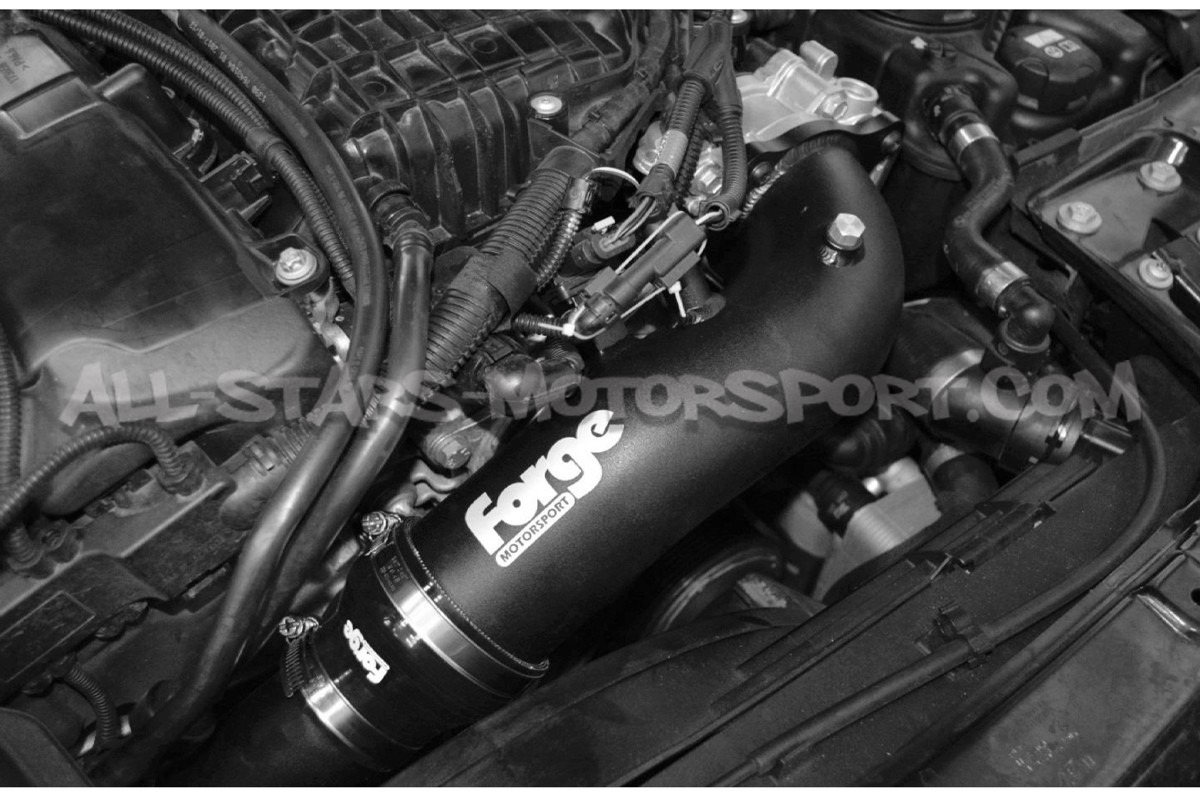 Kit tubos de intercambiador Forge para BMW M2 Comp / M3 F80 / M4 F82