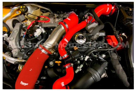 Durites de turbo Forge Motorsport pour Renault Megane 4 RS