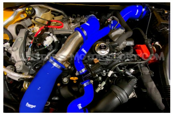 Durites de turbo Forge Motorsport pour Renault Megane 4 RS