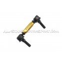 Lancer Evo 10 Whiteline Adjustable Rear Sway Bar Link Kit