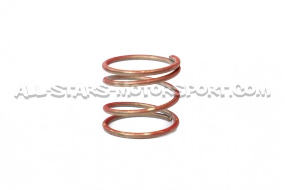 Forge Valve Small Spring Tuning Kit