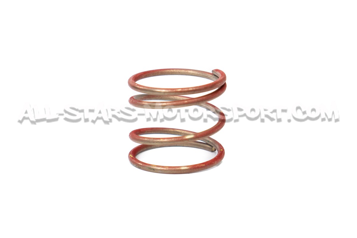 Ressort Small Forge pour Dump Valve