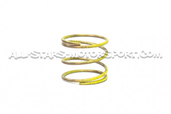 Ressort Small Forge pour Dump Valve